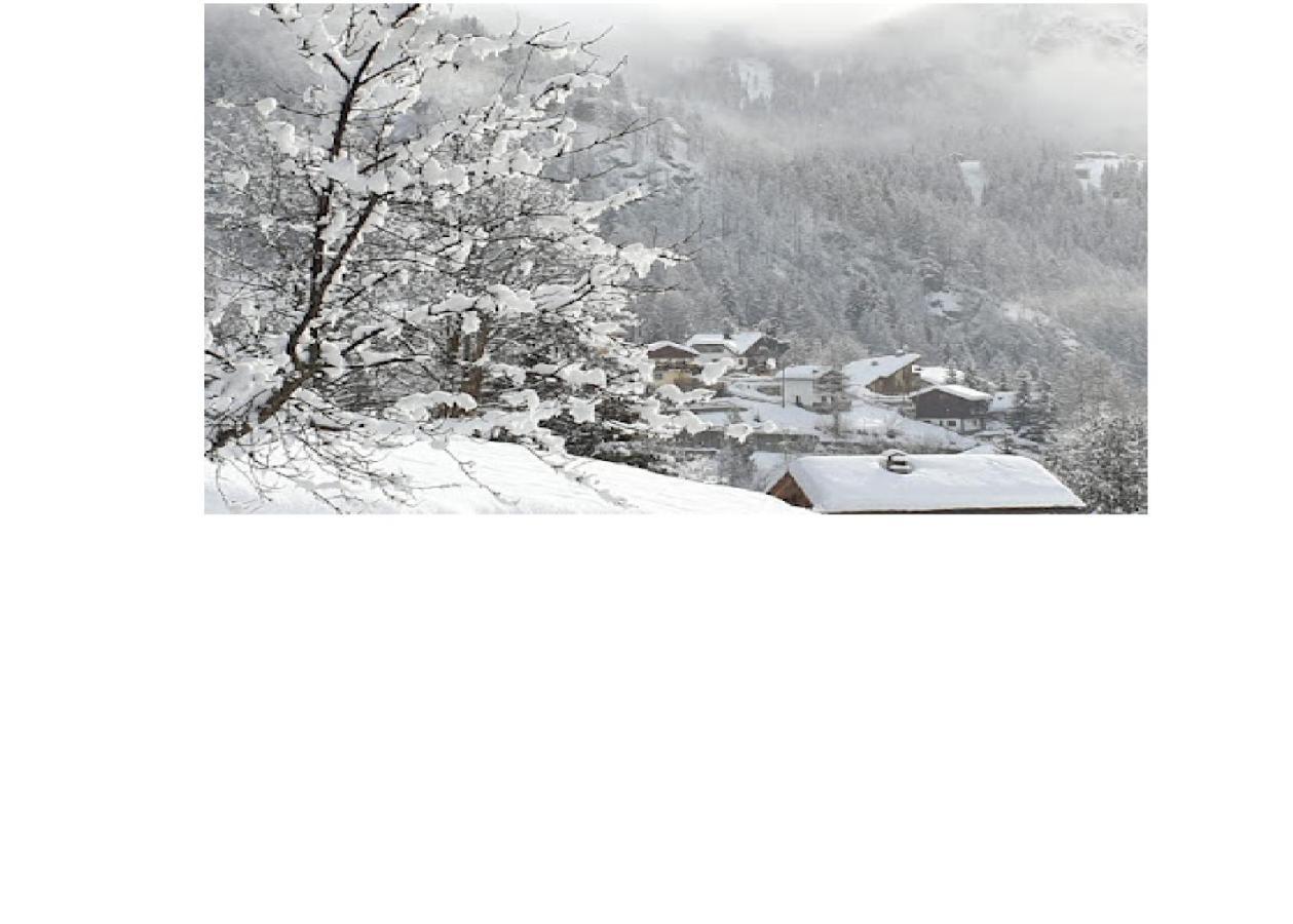 Valtournenche Appartamento Comodo Alle Piste Singlin 외부 사진